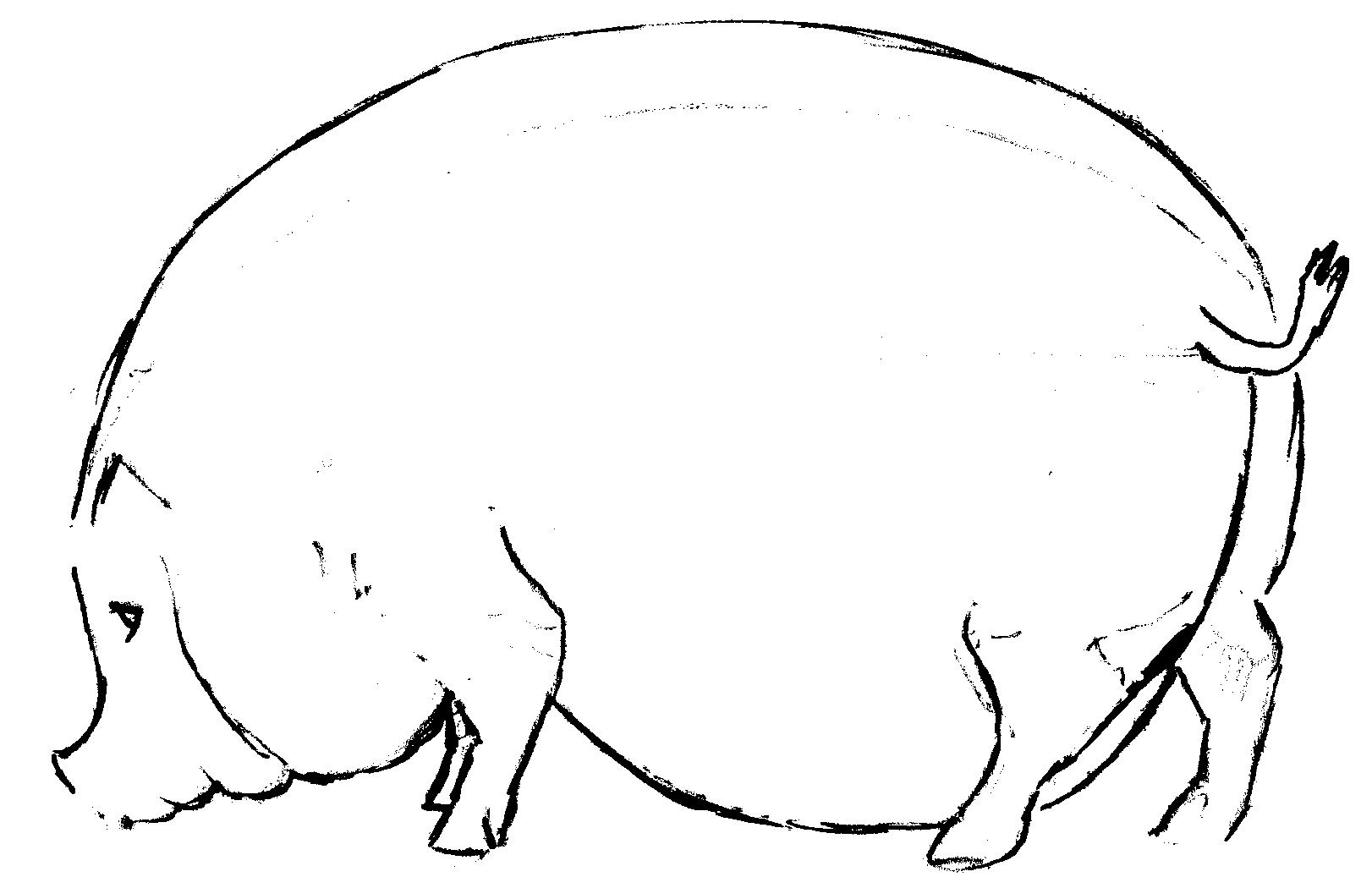 Idea for a traditional piggy bank 