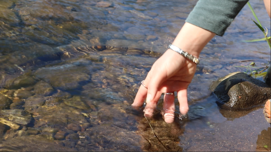 It's a bright summer's day. A close-up of a woman's hand as she runs her fingers through the clear, shallow water of a gently flowing river.