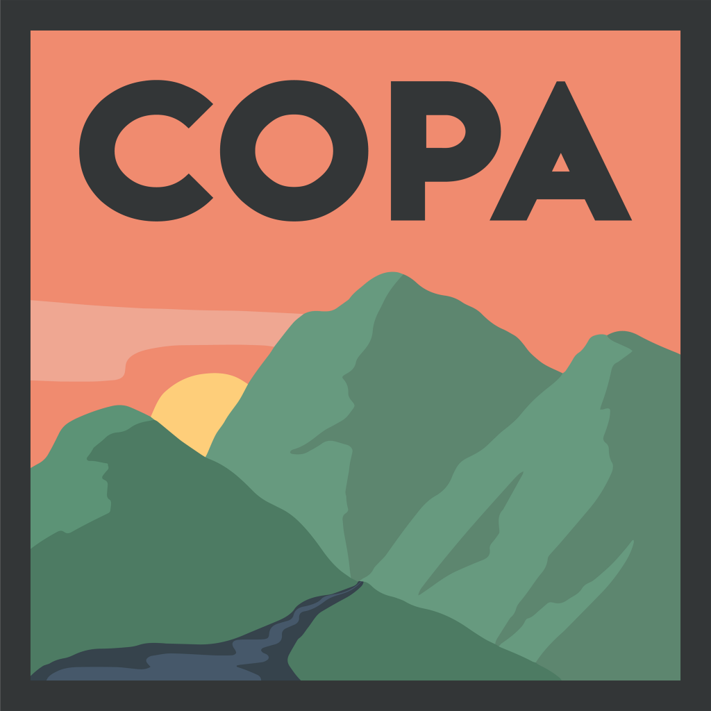 Image result for copa cymru