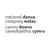 Profile picture for user NDCWales