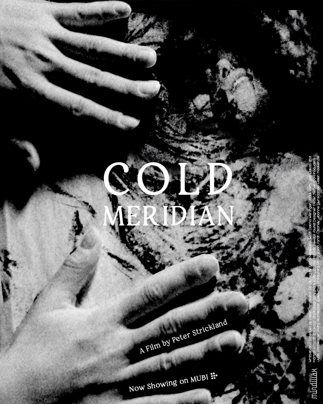 Cold Meridian alt poster
