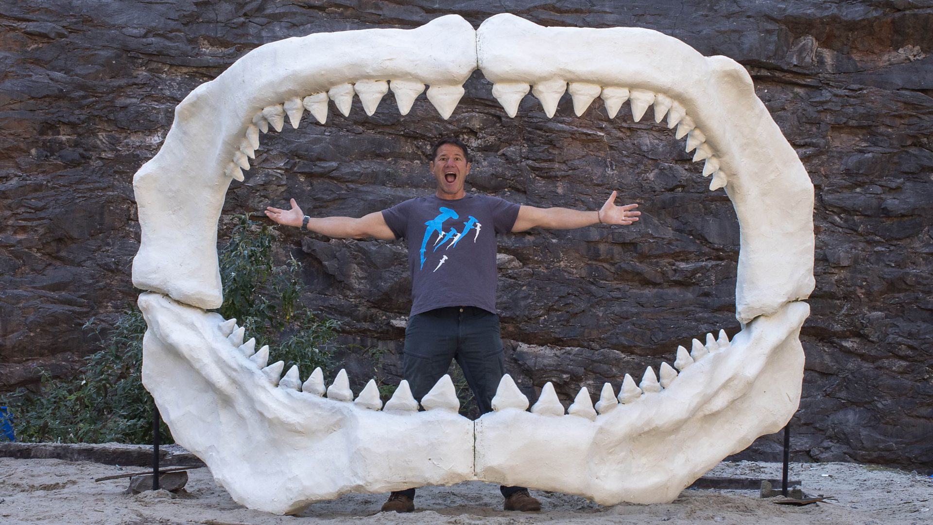 Megalodon Shark Jaw bone for BBC series