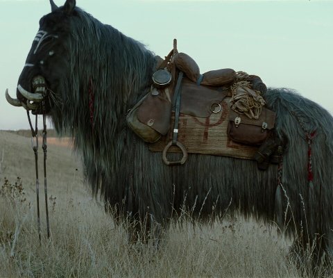 Saddles for fantasy creatures 'Orbaks' in Star Wars: Rise of the Skywalker