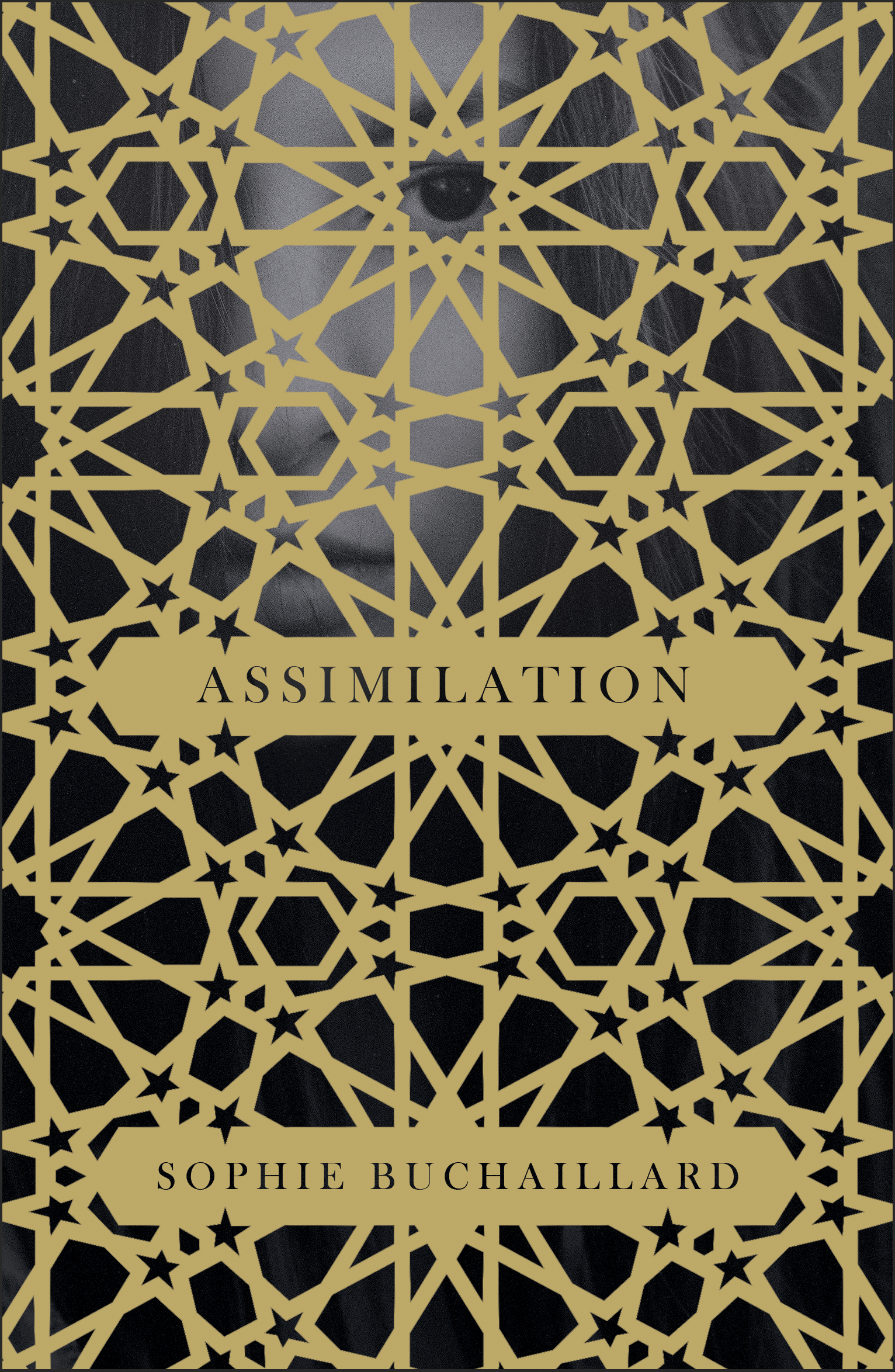 Cover for the novel Assimilation