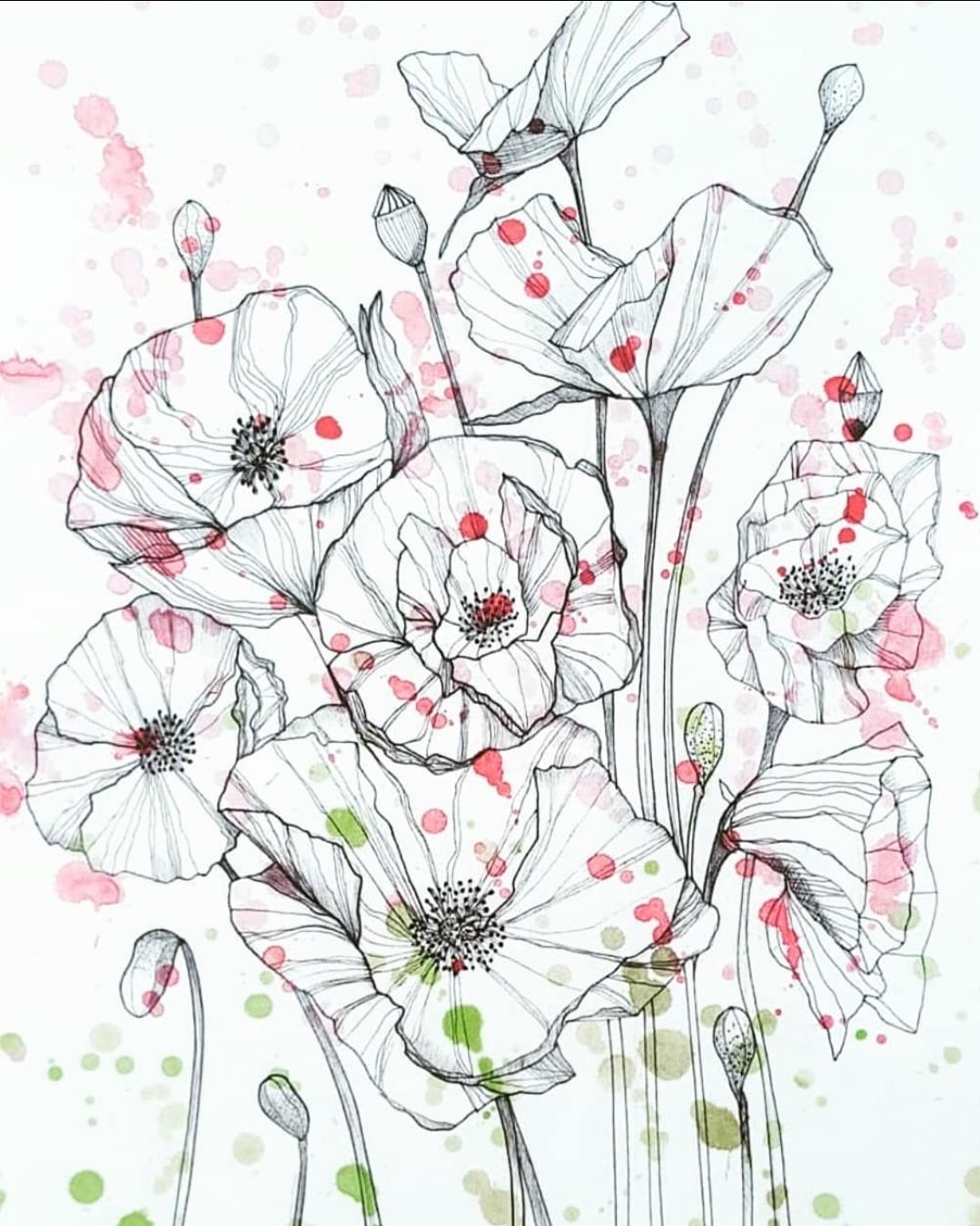 Delecate and detailed watercolour and ink drawing of poppies. 