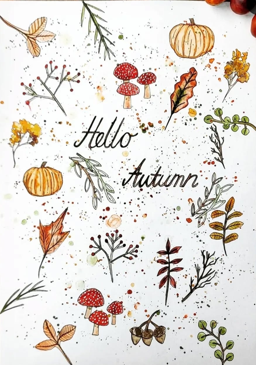 Colourdul and descriptive Autumn illustration, woodland inspired. 