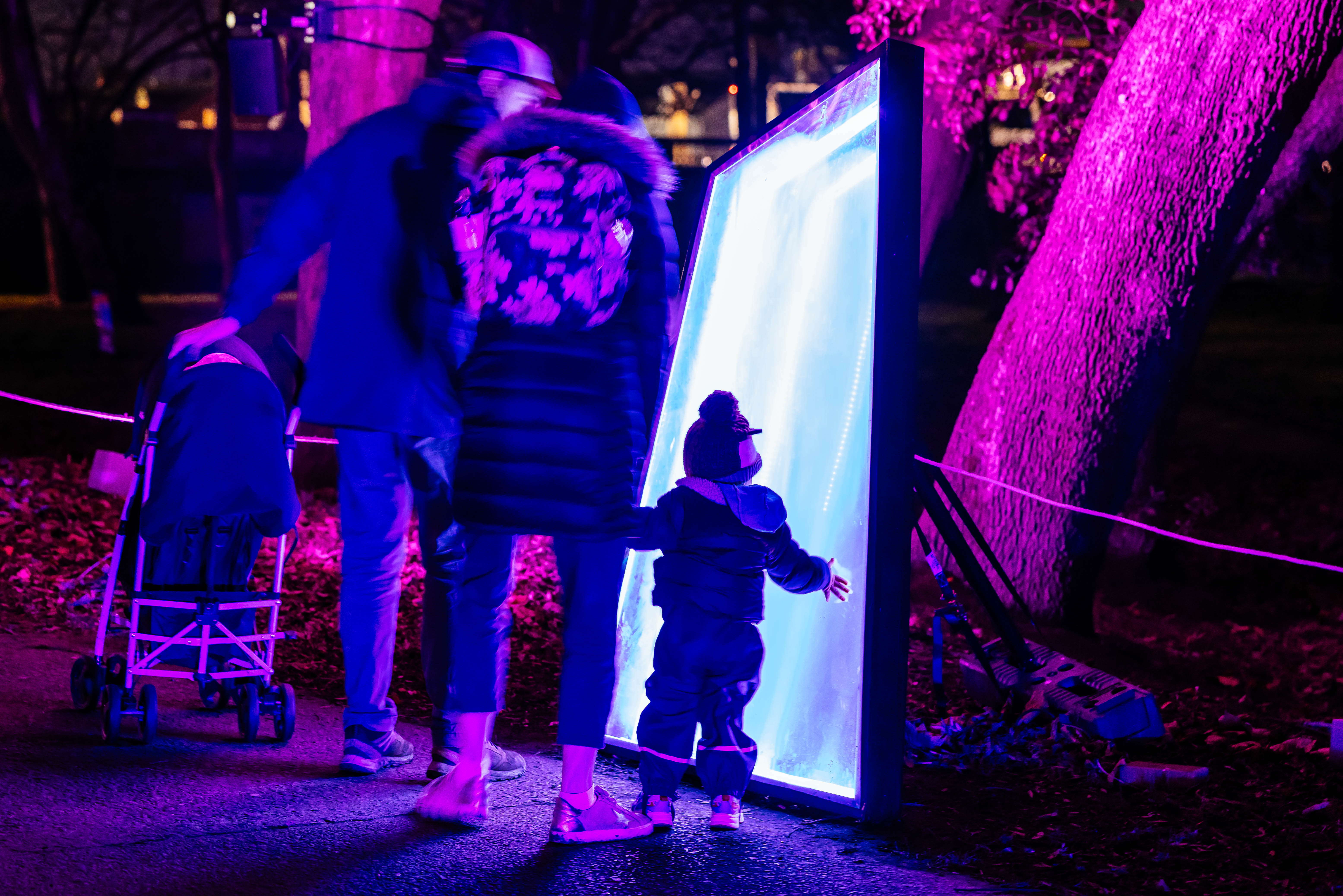 Christmas at Bute Park lighttrail image