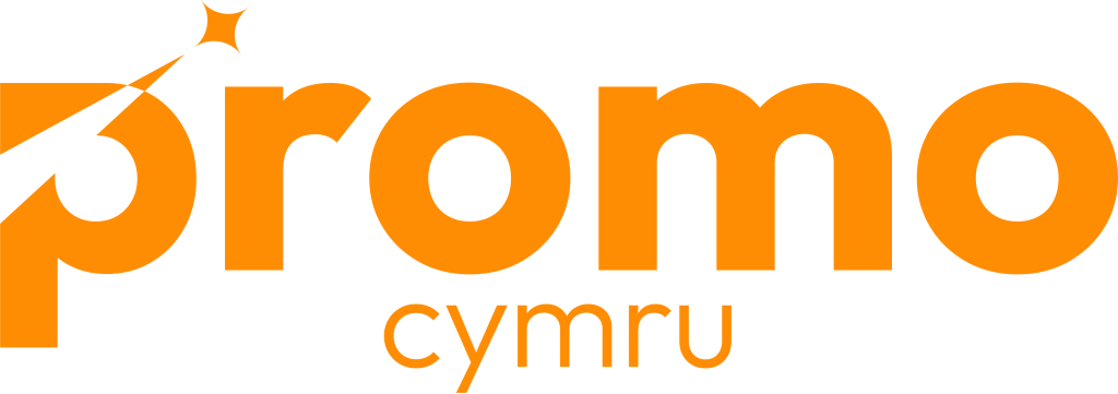 Profile picture for user ProMoCymru