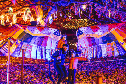 Installation at Christmas at Bute Park