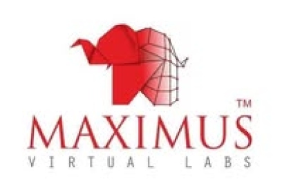Profile picture for user maximusinfinity